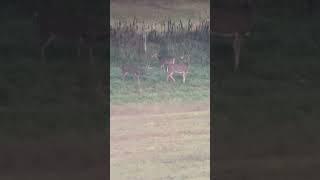 The 8pt said he didn’t want any of that!