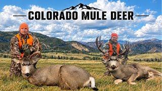 Rifle Mule Deer Hunt in Colorado!
