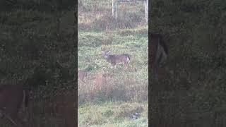 This 8pt may be nice next year.